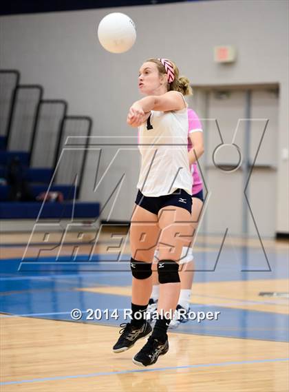 Thumbnail 1 in Lovejoy @ Wylie East photogallery.