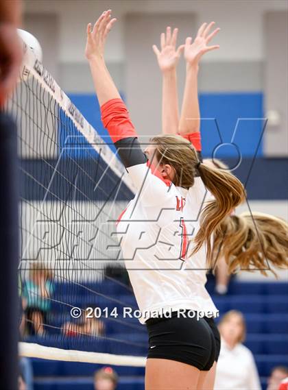 Thumbnail 1 in Lovejoy @ Wylie East photogallery.
