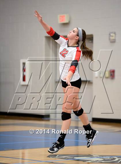 Thumbnail 3 in Lovejoy @ Wylie East photogallery.