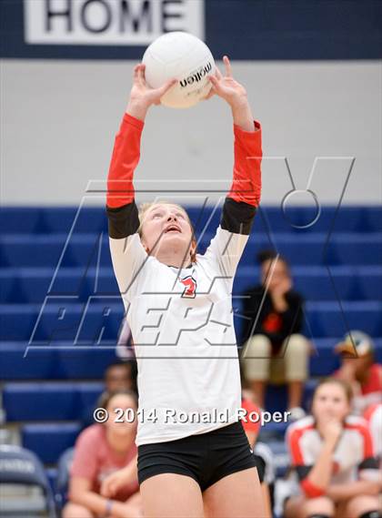 Thumbnail 1 in Lovejoy @ Wylie East photogallery.