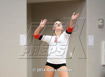 Thumbnail 3 in Lovejoy @ Wylie East photogallery.