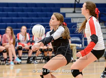 Thumbnail 1 in Lovejoy @ Wylie East photogallery.