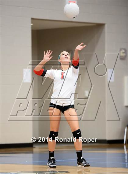 Thumbnail 2 in Lovejoy @ Wylie East photogallery.
