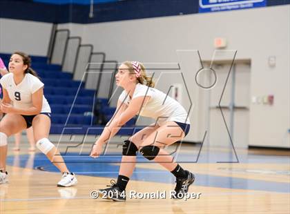 Thumbnail 3 in Lovejoy @ Wylie East photogallery.