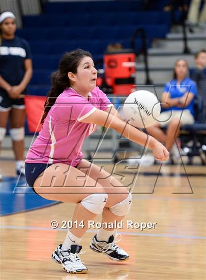 Thumbnail 3 in Lovejoy @ Wylie East photogallery.