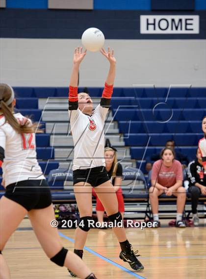 Thumbnail 3 in Lovejoy @ Wylie East photogallery.