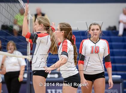 Thumbnail 2 in Lovejoy @ Wylie East photogallery.