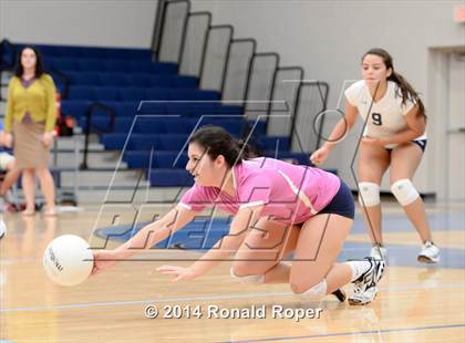 Thumbnail 3 in Lovejoy @ Wylie East photogallery.