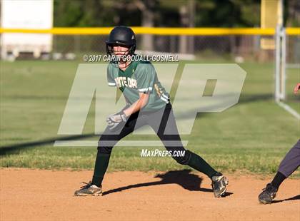 Thumbnail 2 in White Oak @ Havelock photogallery.
