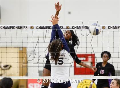Thumbnail 3 in Desert vs. Summit (CIF SS D4A Final) photogallery.