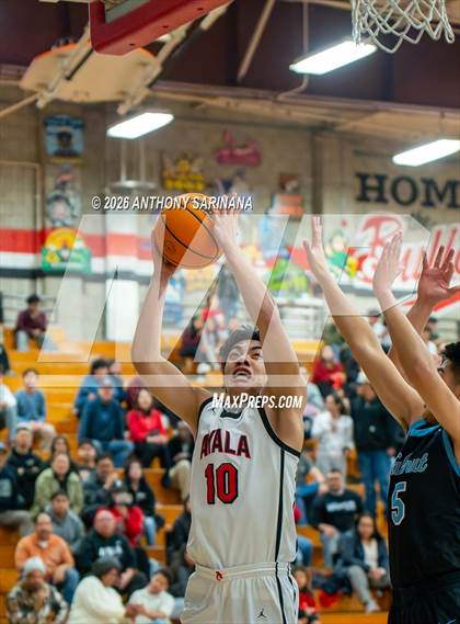 Thumbnail 1 in Walnut @ Ayala photogallery.