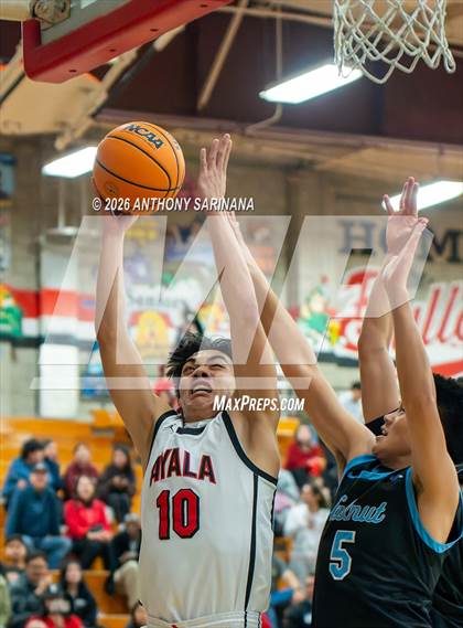 Thumbnail 2 in Walnut @ Ayala photogallery.