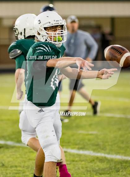 Thumbnail 1 in Stephenville @ Santo photogallery.