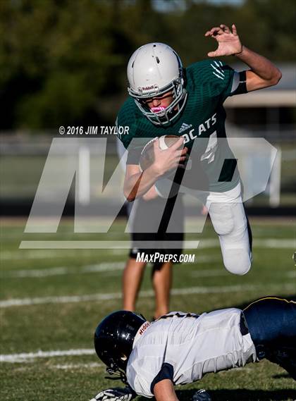 Thumbnail 1 in Stephenville @ Santo photogallery.