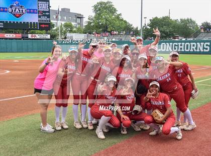 Thumbnail 2 in Grandview vs. Coahoma (UIL Softball 3A Final) photogallery.