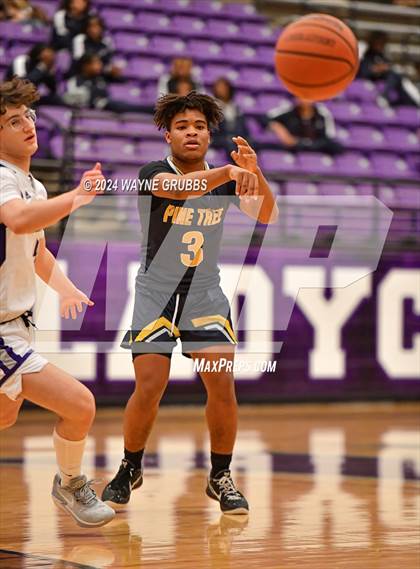 Thumbnail 2 in Pine Tree @ Hallsville photogallery.