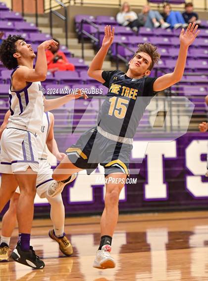 Thumbnail 3 in Pine Tree @ Hallsville photogallery.
