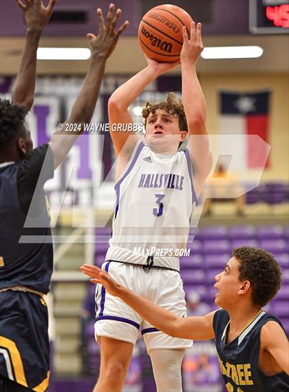 Thumbnail 1 in Pine Tree @ Hallsville photogallery.