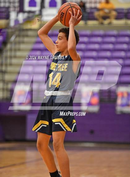 Thumbnail 3 in Pine Tree @ Hallsville photogallery.