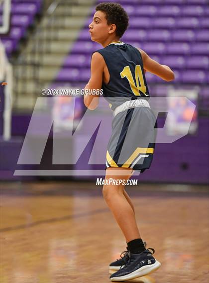 Thumbnail 2 in Pine Tree @ Hallsville photogallery.