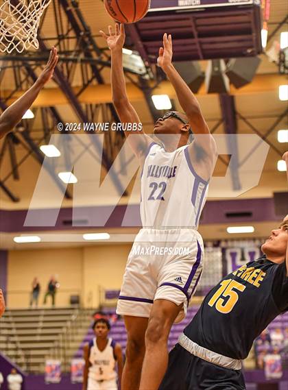 Thumbnail 1 in Pine Tree @ Hallsville photogallery.