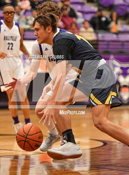 Thumbnail 1 in Pine Tree @ Hallsville photogallery.