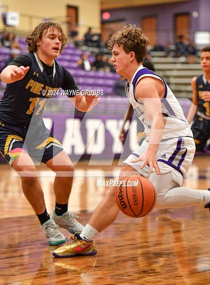 Thumbnail 3 in Pine Tree @ Hallsville photogallery.