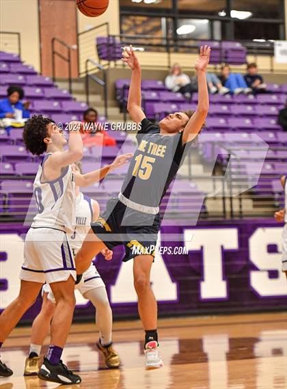 Thumbnail 2 in Pine Tree @ Hallsville photogallery.