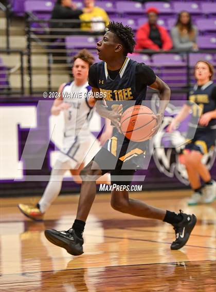 Thumbnail 1 in Pine Tree @ Hallsville photogallery.