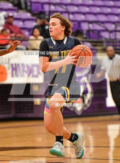 Thumbnail 2 in Pine Tree @ Hallsville photogallery.