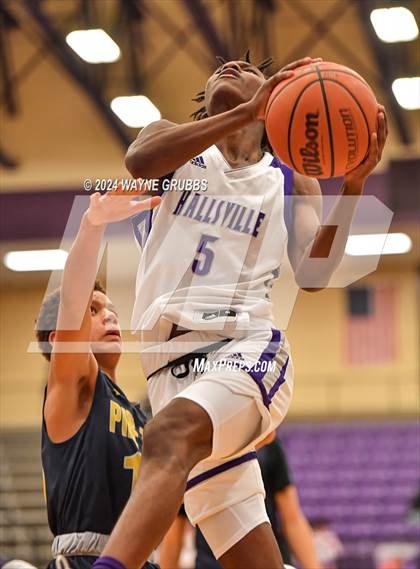 Thumbnail 2 in Pine Tree @ Hallsville photogallery.