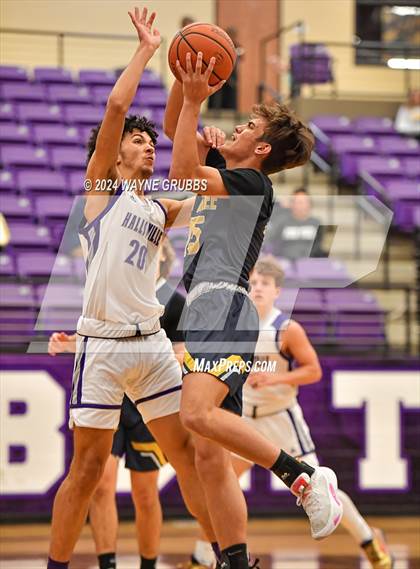 Thumbnail 2 in Pine Tree @ Hallsville photogallery.