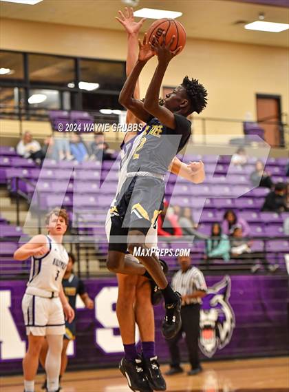 Thumbnail 2 in Pine Tree @ Hallsville photogallery.