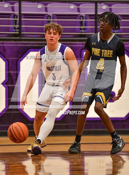 Thumbnail 2 in Pine Tree @ Hallsville photogallery.