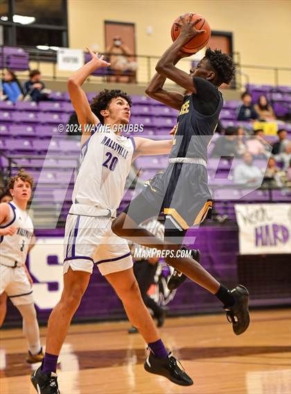 Thumbnail 3 in Pine Tree @ Hallsville photogallery.