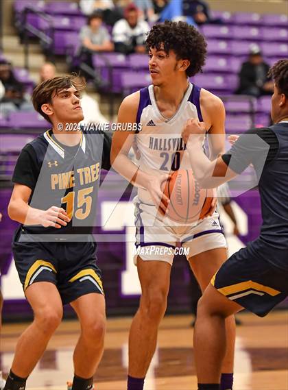 Thumbnail 2 in Pine Tree @ Hallsville photogallery.