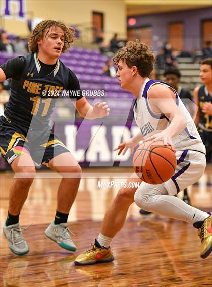 Thumbnail 1 in Pine Tree @ Hallsville photogallery.