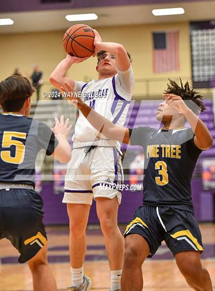 Thumbnail 2 in Pine Tree @ Hallsville photogallery.