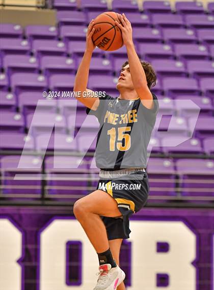 Thumbnail 2 in Pine Tree @ Hallsville photogallery.