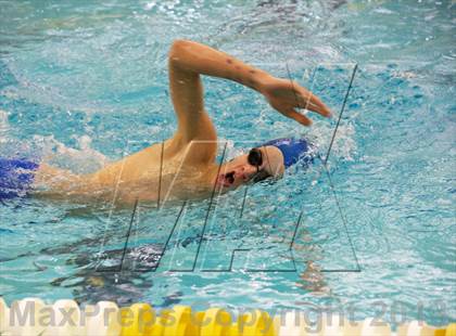 Thumbnail 3 in Williamson County Swimming Championships photogallery.