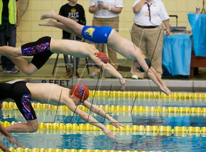 Thumbnail 1 in Williamson County Swimming Championships photogallery.