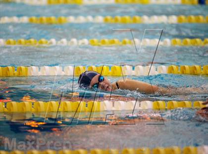 Thumbnail 3 in Williamson County Swimming Championships photogallery.
