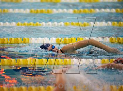 Thumbnail 2 in Williamson County Swimming Championships photogallery.