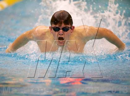Thumbnail 1 in Williamson County Swimming Championships photogallery.