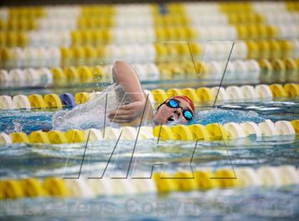 Thumbnail 1 in Williamson County Swimming Championships photogallery.