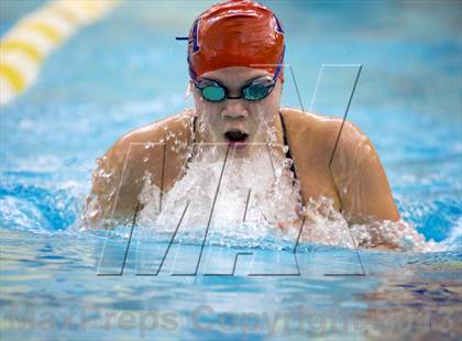 Thumbnail 3 in Williamson County Swimming Championships photogallery.