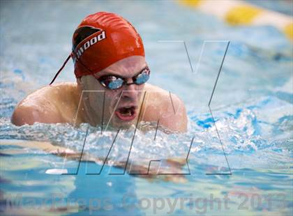 Thumbnail 2 in Williamson County Swimming Championships photogallery.