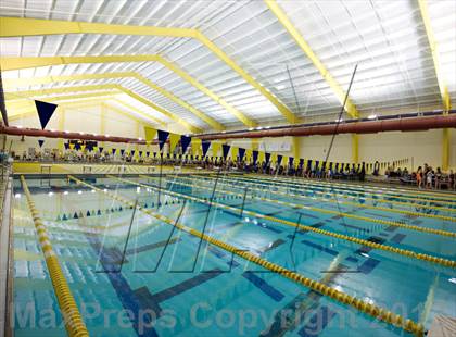 Thumbnail 3 in Williamson County Swimming Championships photogallery.