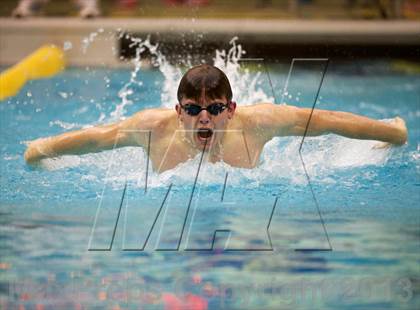 Thumbnail 2 in Williamson County Swimming Championships photogallery.