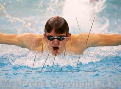 Thumbnail 3 in Williamson County Swimming Championships photogallery.